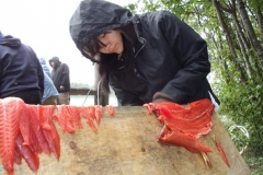 Salmon Camp 2016 - Kaitlyn Cutting Dry Fish