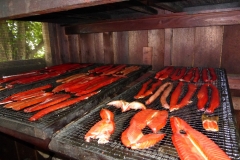 Salmon Camp 2016 - Smoking Fish